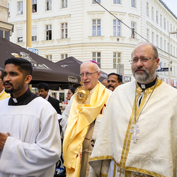 Erzdiözese Wien/ Hafellner
